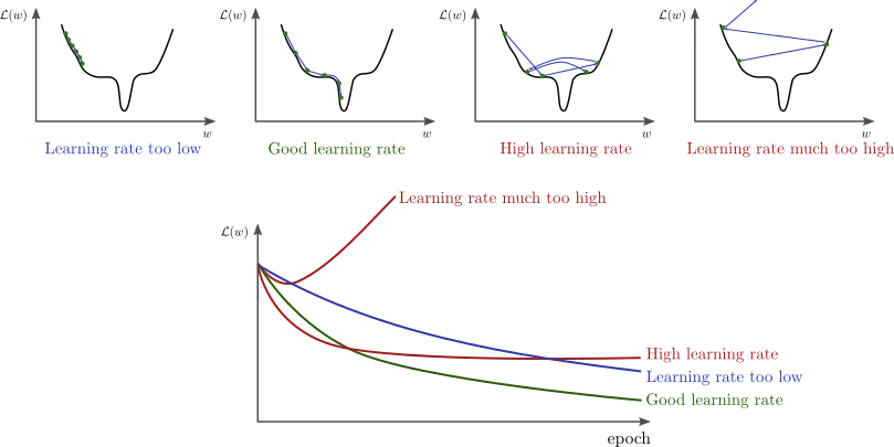 Behavior or different learning rate values